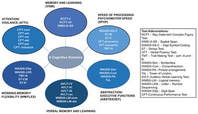 Cognitive Profiles and Functional Connectivity in First-Episode Schizophrenia Spectrum Disorders – Linking Behavioral and Neuronal Data